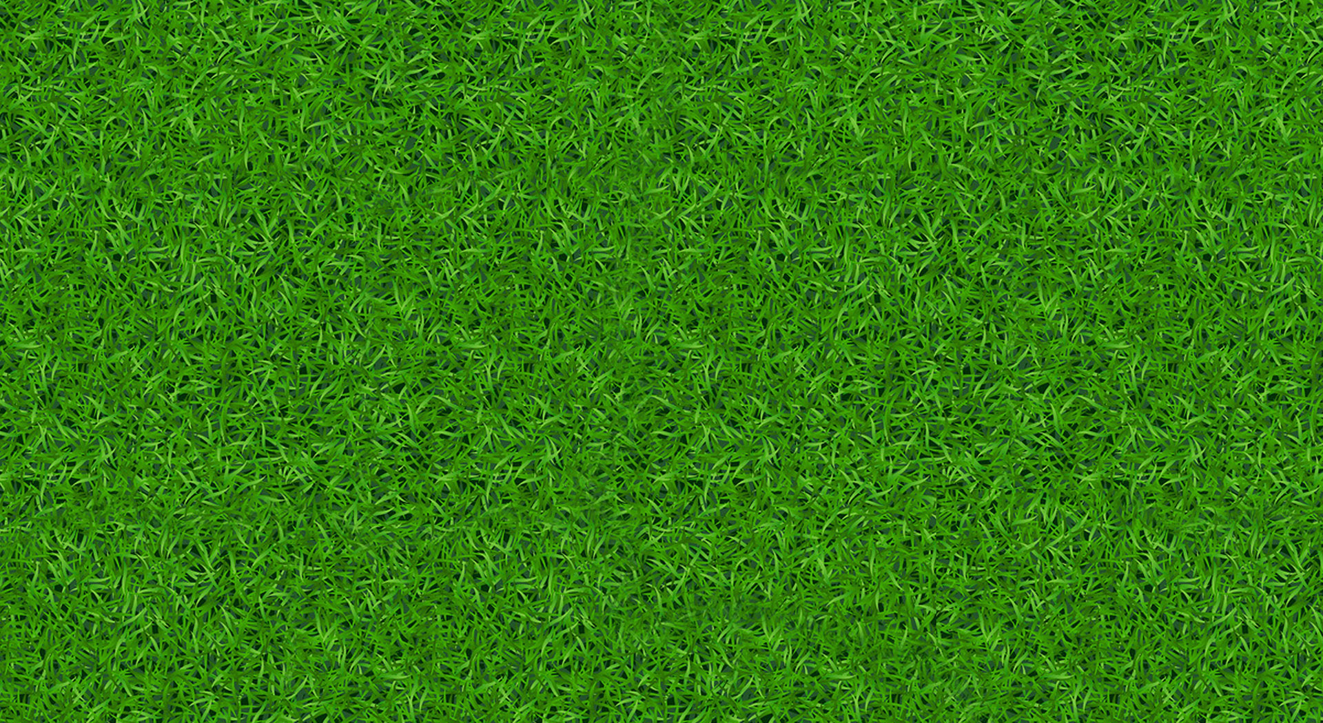 Wir sind Ihr starker Partner<br> im Garten- und Landschaftsbau						