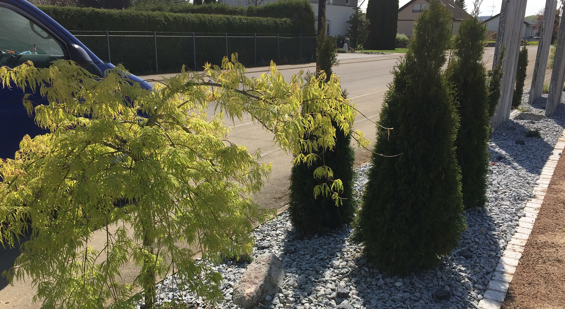 Kompetente Beratung und <br> fachgerechte Ausf&uuml;hrung